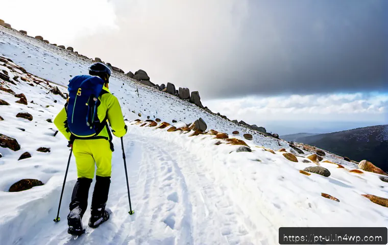 Equipamento de segurança para viagens em ambientes extremos: o que comprar e como comparar 3 극한 환경 여행 안전 장비 추천 관련 이미지 1